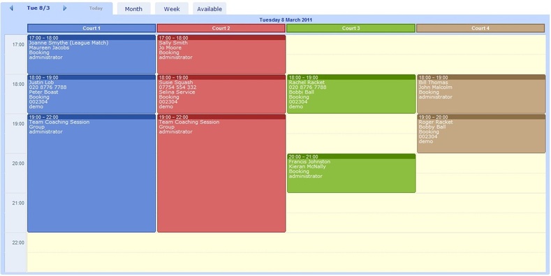 Example of the Daily View of the Schedule
